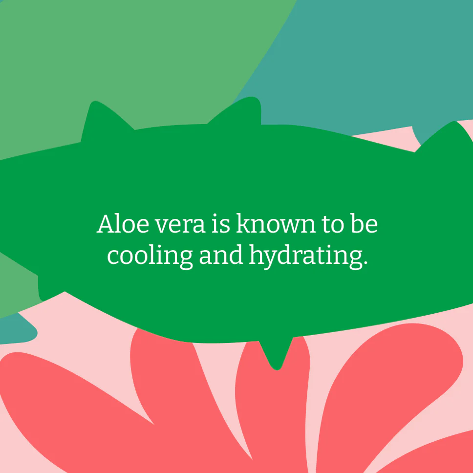 Aloe Vera Body Wash - 400ml - Image 4
