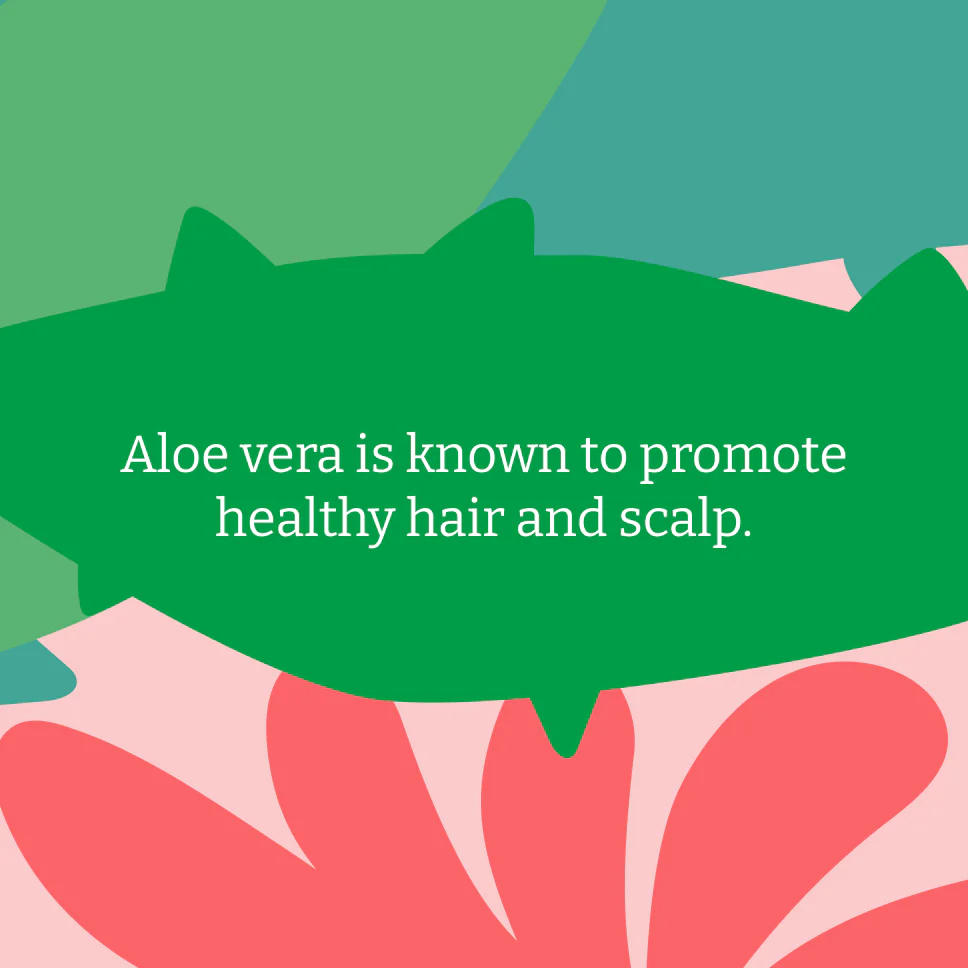 Aloe Vera Shampoo & Conditioner Set - 5L - Image 4