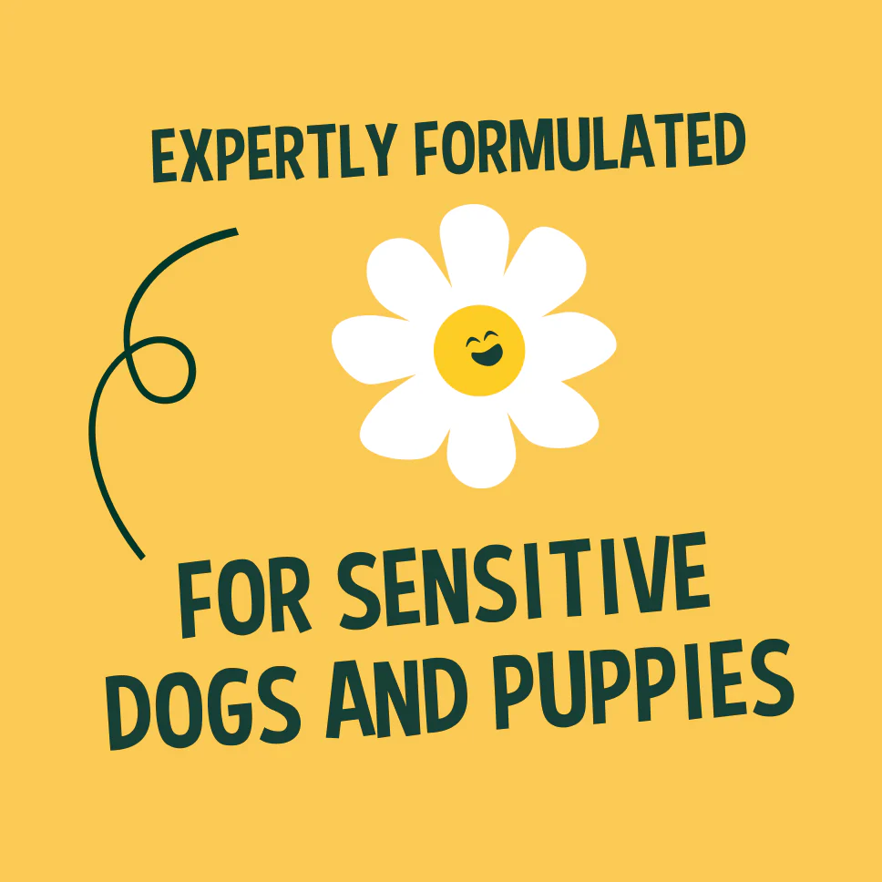 Chamomile Dog & Puppy Shampoo - 5L - Image 3