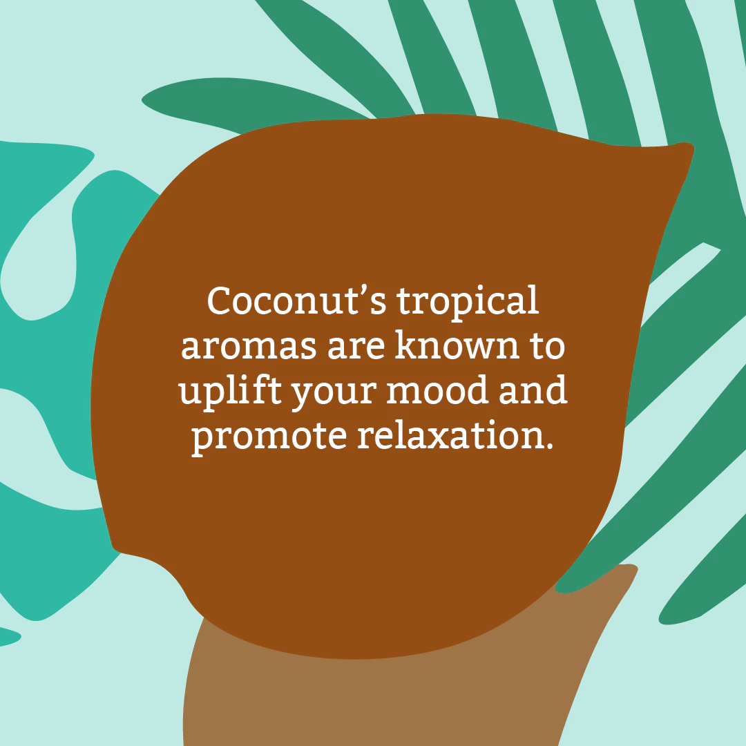 Coconut Body Wash - 1L - Image 3