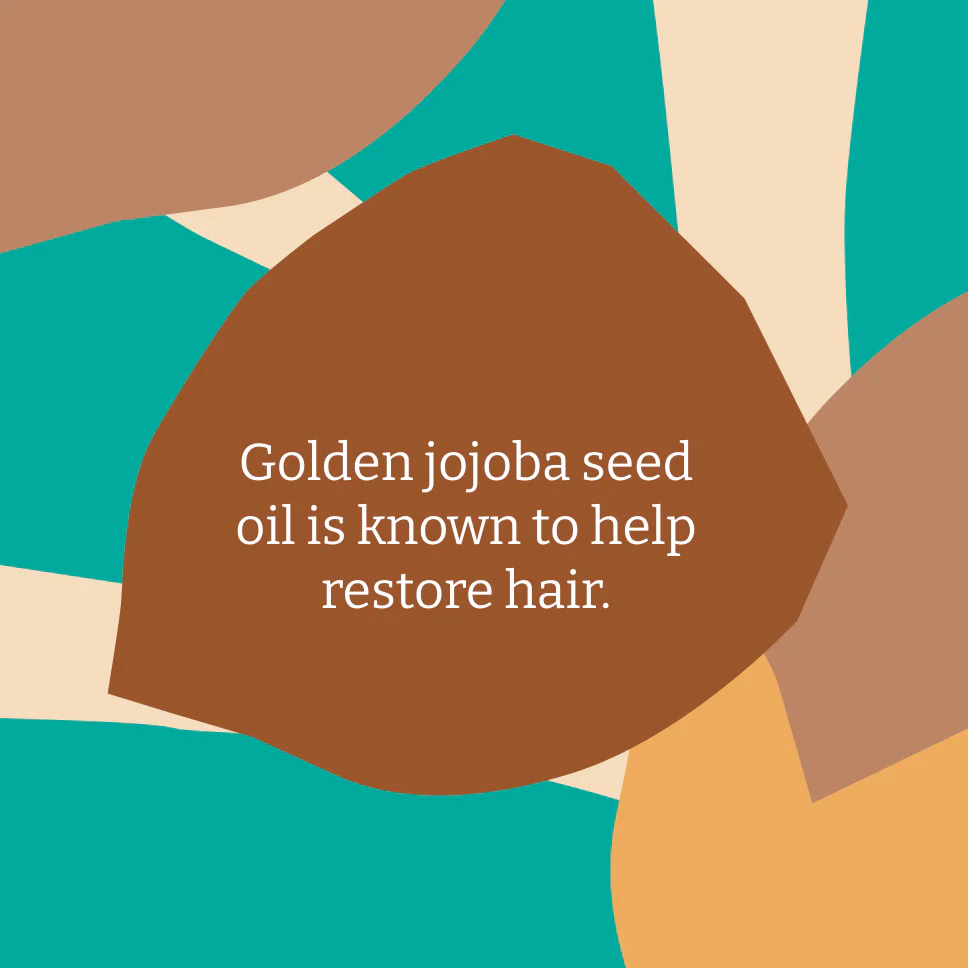 Jojoba Conditioner - 400ml - Image 4