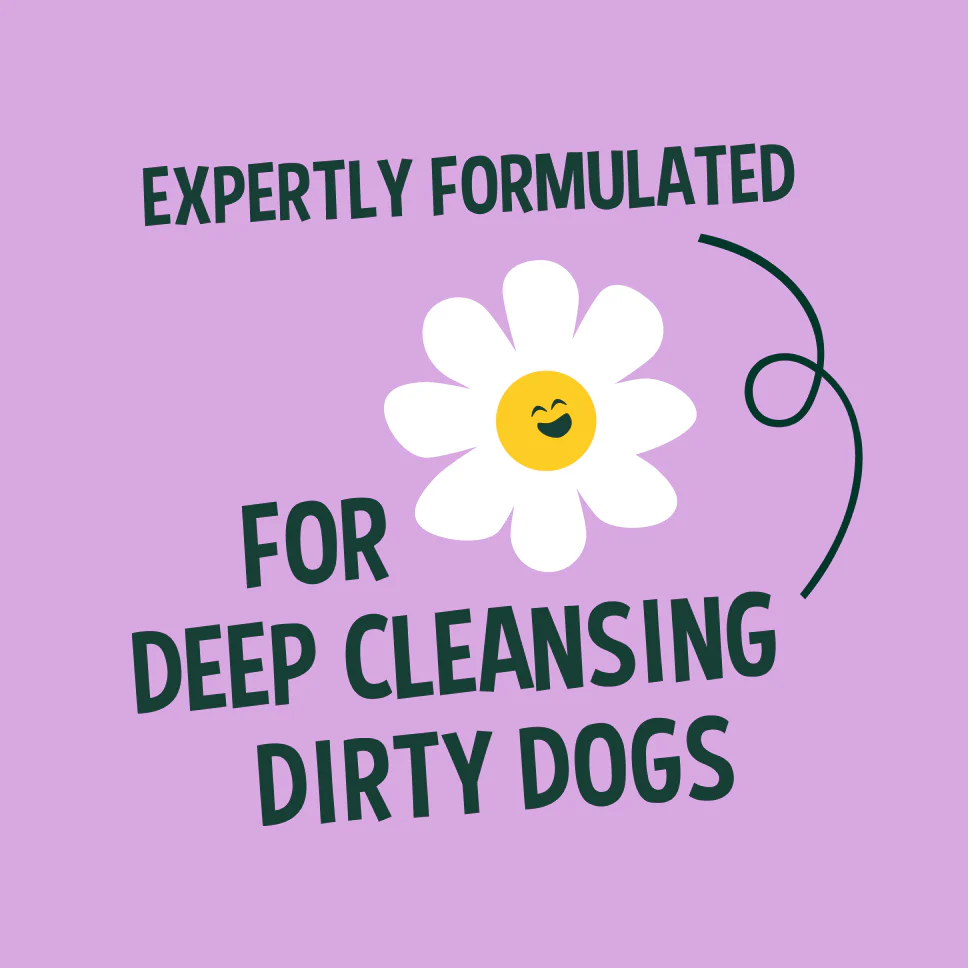 Lavender Dog Shampoo - 5L - Image 3
