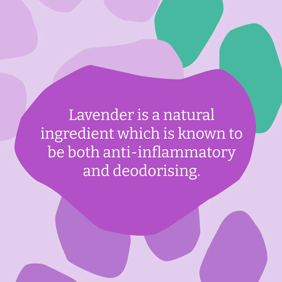 Lavender Dog Shampoo - 5L - Image 4