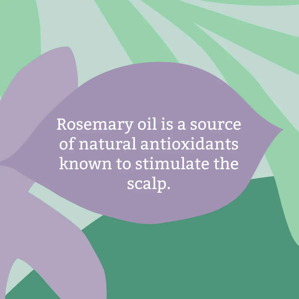 Rosemary Conditioner - 5L - Image 4
