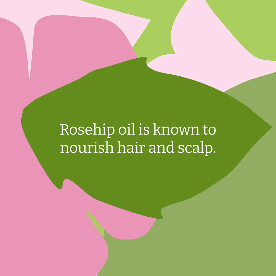 Wild Rose Shampoo - 2.5L - Image 3